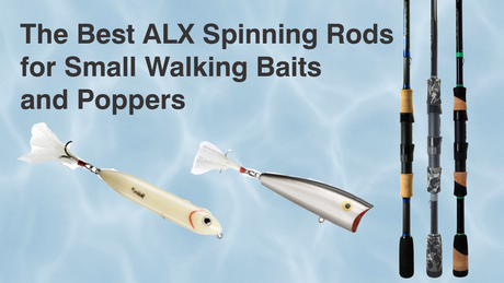 The Best ALX Spinning Rods for Small Walkers and Poppers
